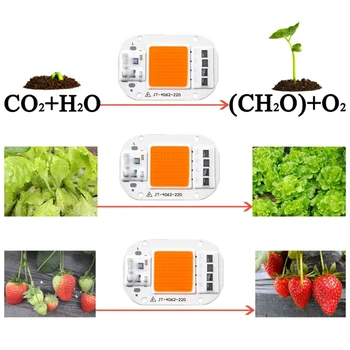 

Led Grow Light Chip Full Spectrum Greenhouse LED Growth Lamp 10-50W Diode Promote Seedlings Plants Growing AC 220V