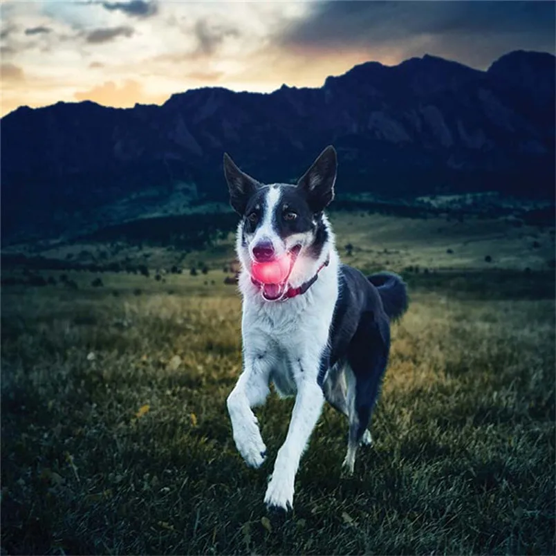 Pet Dog Toys Balls LED Glowing Streak Dog Ball Blinking Pet Toys Lights Up Supplies For Night Play New Arrival #4n09 (4)