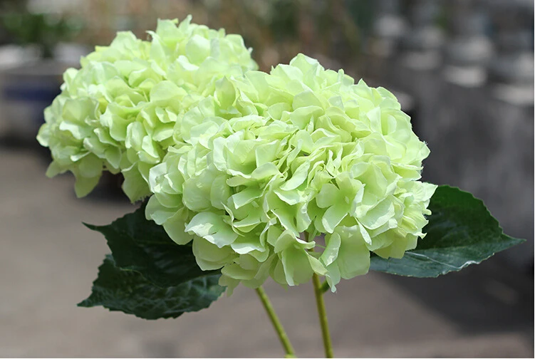 000_conew8(2).jpg1.jpg1.jpg2.jpg1.jpg1.jpg