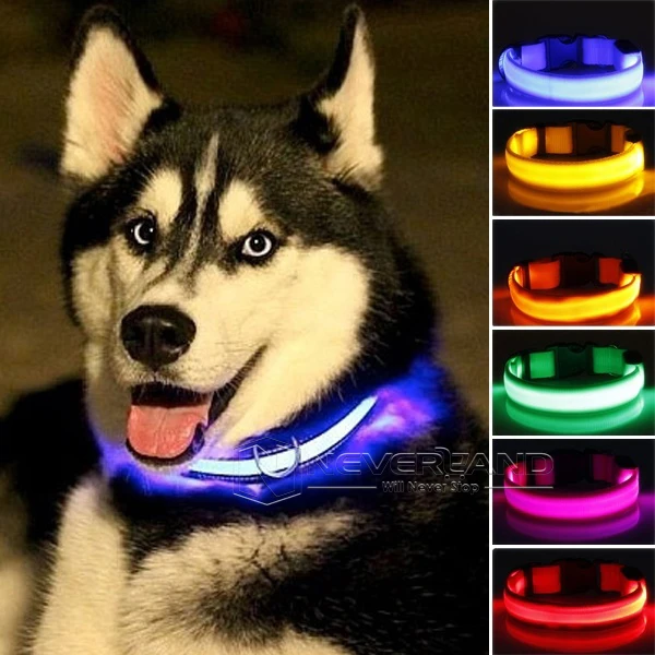 

LED Nylon Pet Collar Night Safety LED Light-up Flashing Glow in the Dark Lighted Dog Collars Free shipping