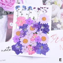 Горячий прессованный цветок смешанные органические натуральные сушеные цветы DIY Искусство Цветочные Декорации коллекция подарок LSF99