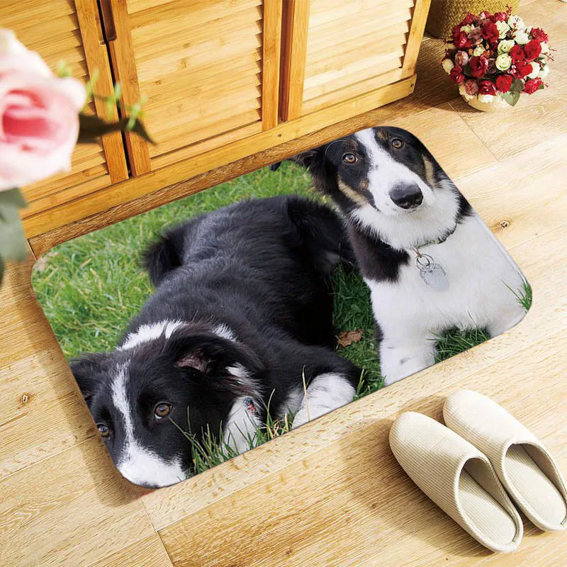 Милый Придверный коврик для собак Border Collie Coir, Придверный коврик для помещений и улицы, новинка, мягкий материал, современный стиль, 40x60 см, противоскользящий