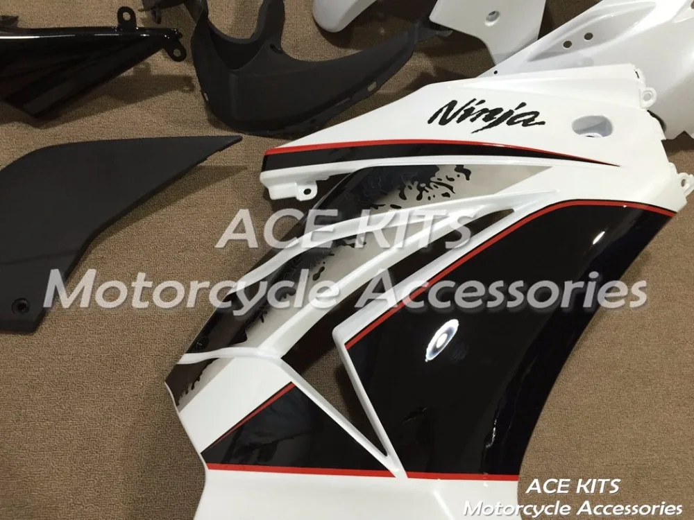 NINJA250 08-12 (126)