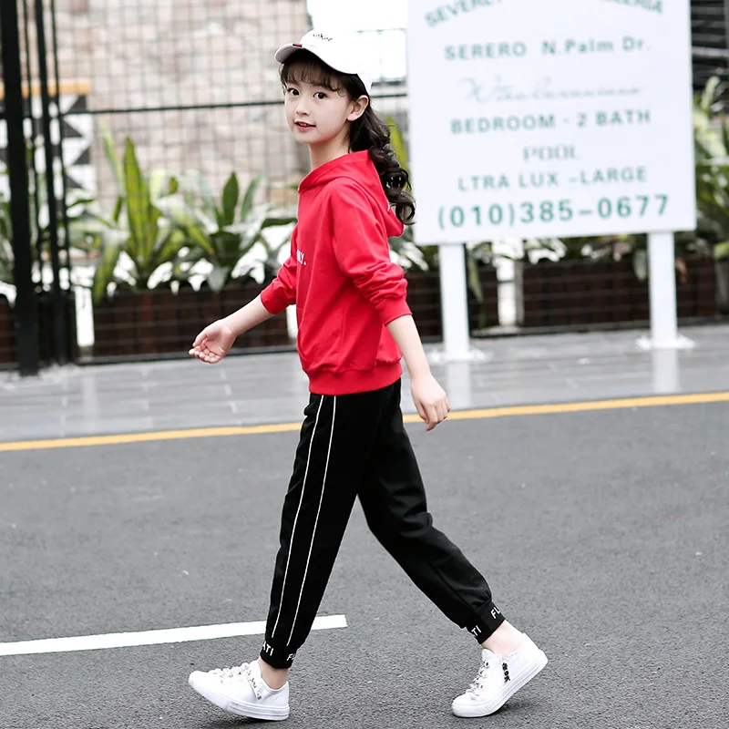 Girls Sets Spring Children Suits For Girls Clothing Sets Casual Kids Sportswear Cotton Hoodies Print Sweatshirts+Pants Trouser