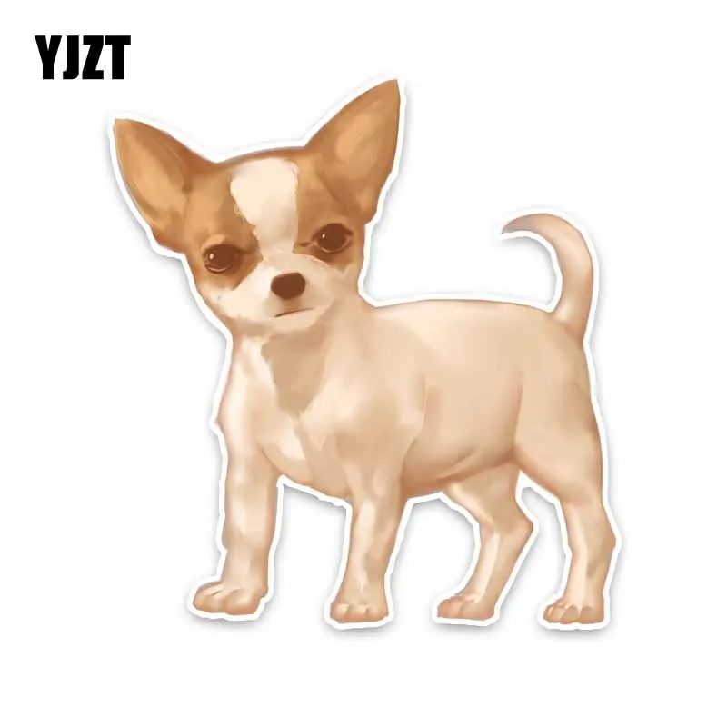 

YJZT 12.3CM*13.5CM Funny Animal Dog PVC Car Sticker Decal Decor 5-1985