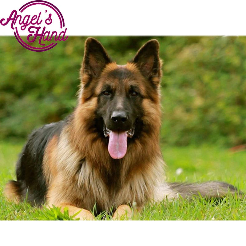 5D DIY Diamond Embroidery Animal German Shepherd Dog Pet customization Painting Cross Stitch 3D Mosaic Christmas | Дом и сад