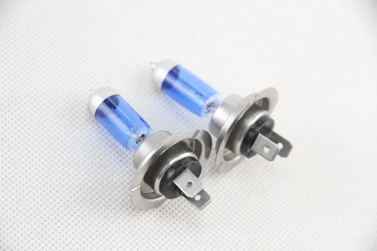 H7 Halogen Bulbs (24)