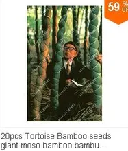 HTB1HfEzNpXXXXbmaXXXq6xXFXXXx