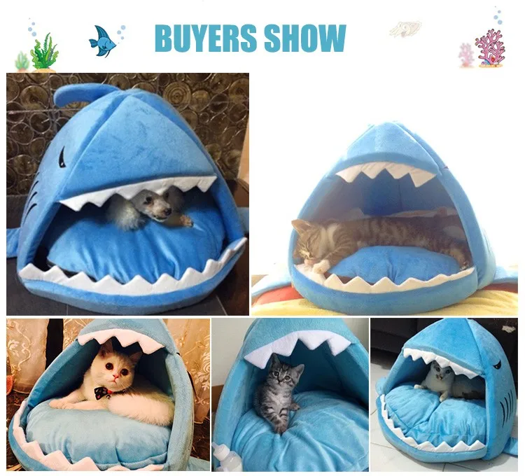 BUYERS SHOW1