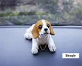 Beagle