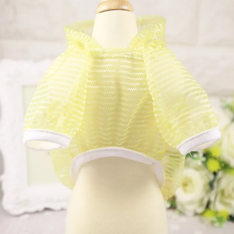 DN0024Y (1)