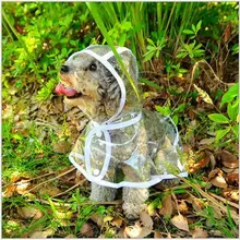 HOT AilusPet Waterproof Teddy Dog Clothes Transparent Poodle Doggy Raincoats For Toy Dogs Pet Raincoat Suitable In All Seasons