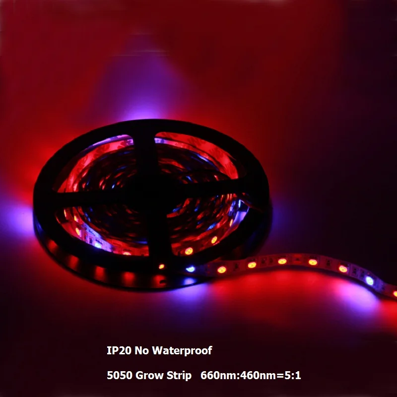 5050 grow leds