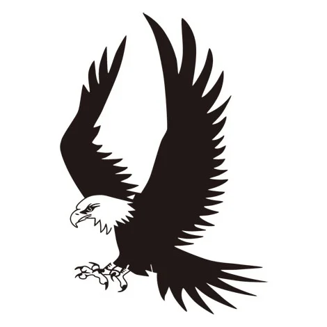 Eagle Flying Vinyl Wall Sticker Eagle Soar Bird Swing Wing Wall
