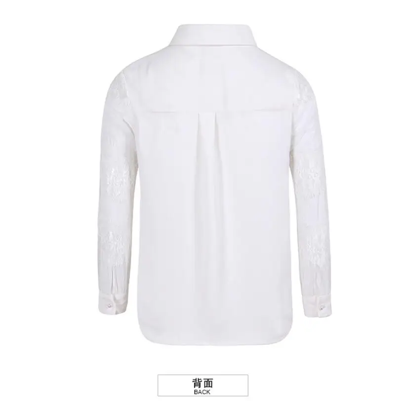 QQ20190213180955
