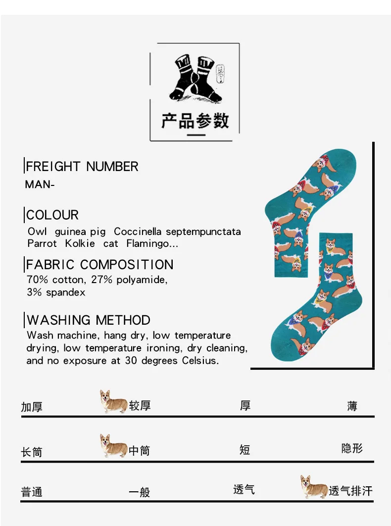 9315636442_2023056901