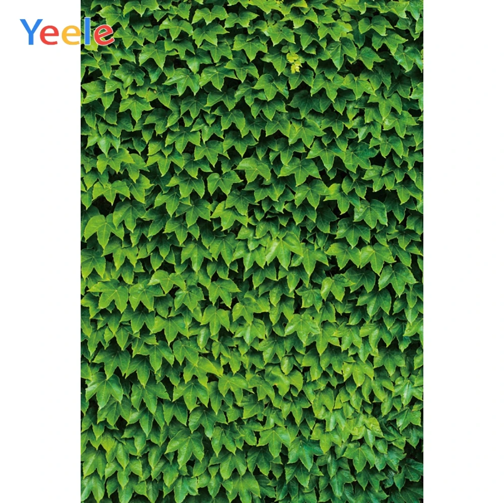 Фоны для фотосъемки Yeele с изображением летних листьев зеленого клевера |