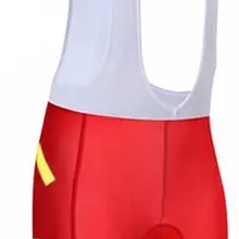 Высокого качества красный классический велотрусы велогонки дно Ropa Ciclismo велосипед Штаны 19D гель pad кремния Захваты внизу