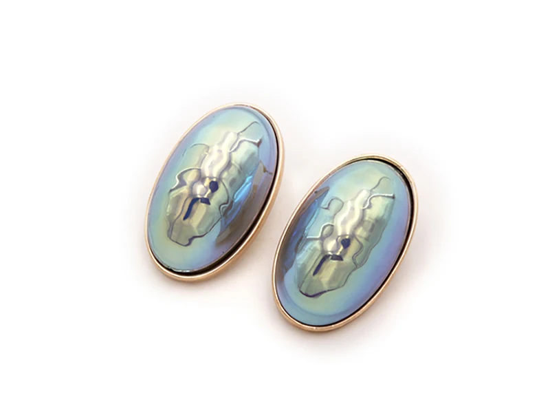 Shell Earrinsg (2)