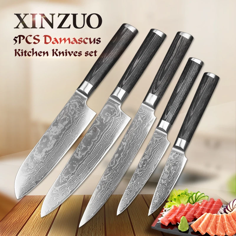 XINZUO 5 PCS Kitchen Knife Set 67 Layer Japanese VG10 Damascus Steel