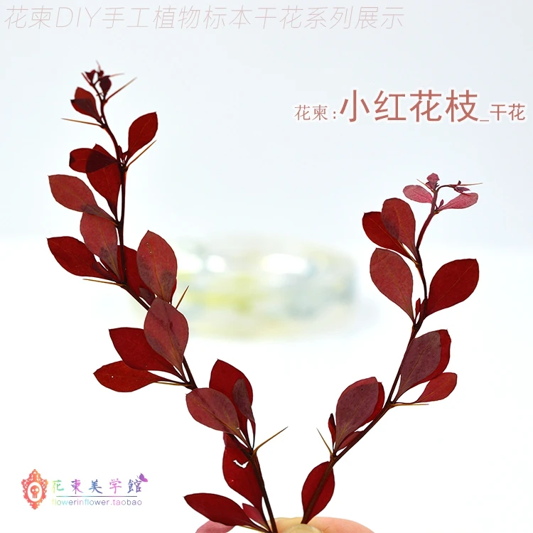

Flower Invitation Red Leaves Branch _ DIY Plant Glue Dried Specimens Handmade Bracelet Long branches