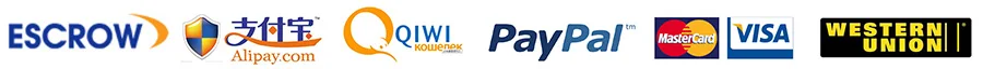 11-Payment