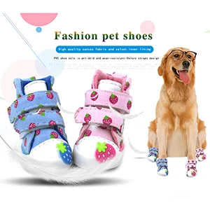 strawberry shoes300