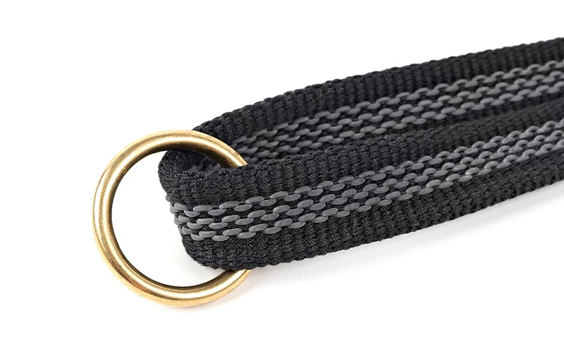 dog-leash-30306-d7
