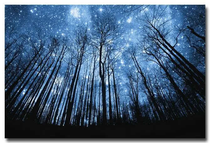 весеннее небо ночью. весеннее небо ночью. осеннее звездное небо. весеннее небо ночью. ночное поле.