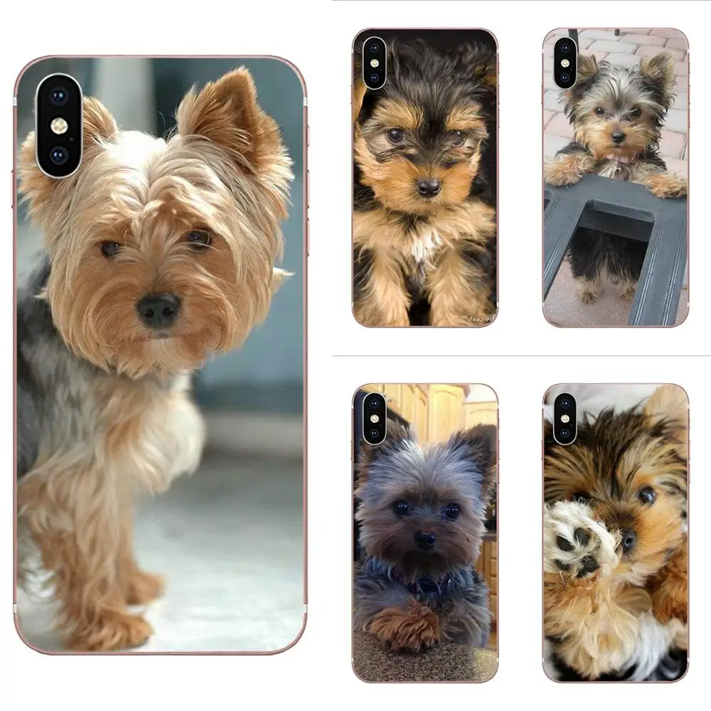 

For Huawei Honor 4C 5A 5C 5X 6 6A 6X 7 7A 7C 7X 8 8C 8S 9 10 10i 20 20i Lite Pro TPU Skin Paintin Yorkshire Terrier Yorkie Dog