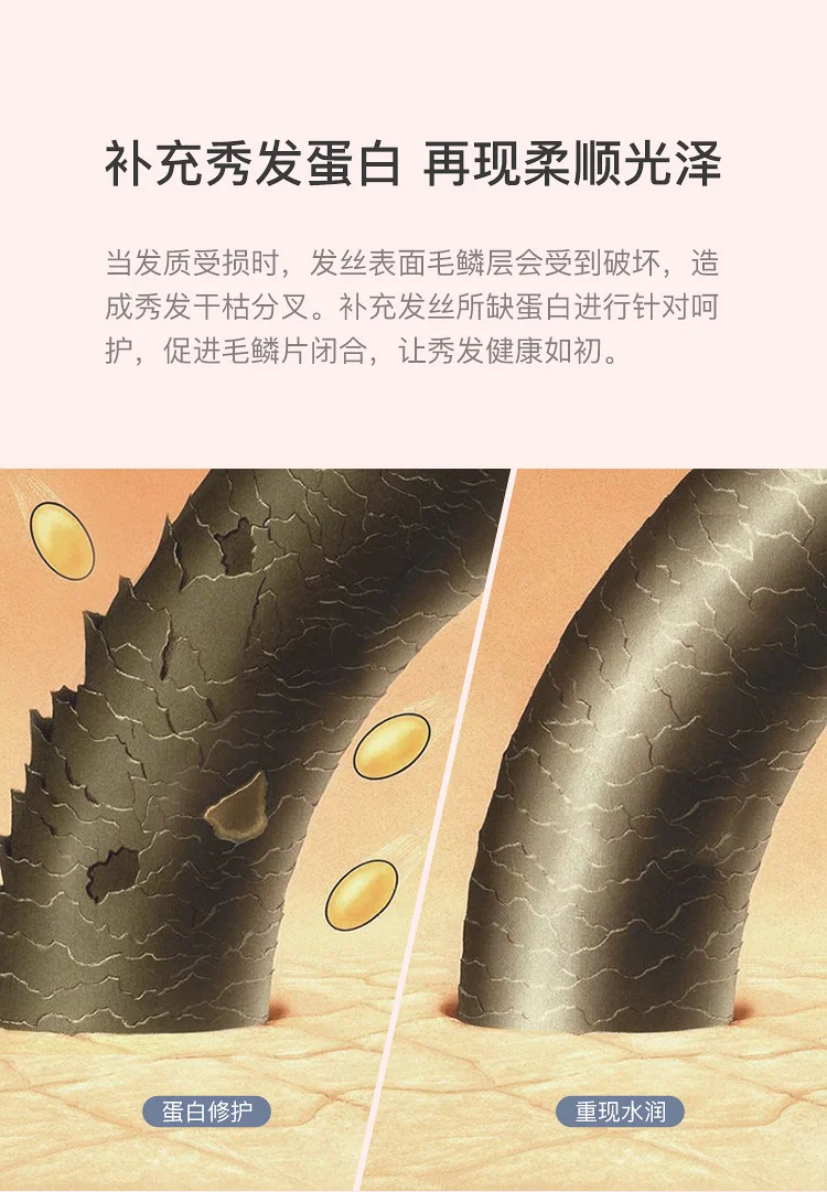 608¾ÅÔÂÖÕ¸å750_06.jpg