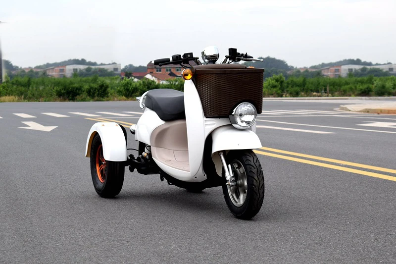 Perfect 60V 1000W  Citycoco Electric Scooter Lead-acid Battery Three Rounds of Motorcycle Electric Motorcycles 1
