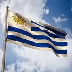 1 шт. Уругвай Национальный флаг 60*90 см висит флаги активного отдыха/парад баннер для фестиваля мира по футболу чашки