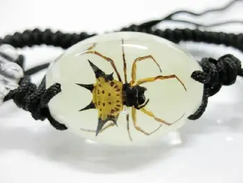 

free shipping Accessories Real Insect Stinging Angle Spider Oval Bracelet Glow in dark SPECIMEN TAXIDERMY INSECT GIFT