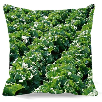 

Corn field Cabbage Leaf mustard Taro tree of Square Cotton polyester soft cushion cover for Home car sofa chair decorative