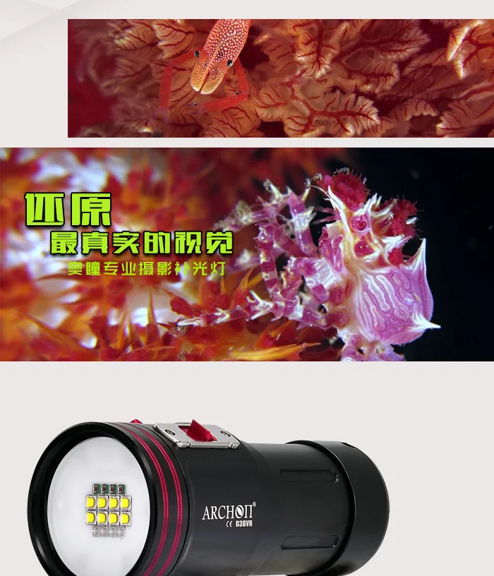 D36VR_02
