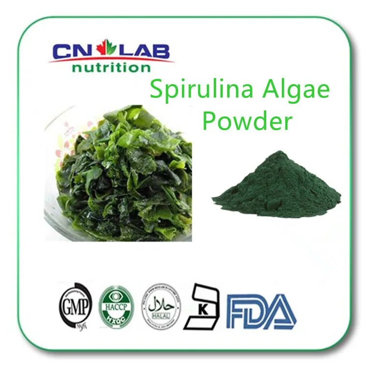 Food Grade Spirulina Powder free Shipping 500g Spirulina Algae powder