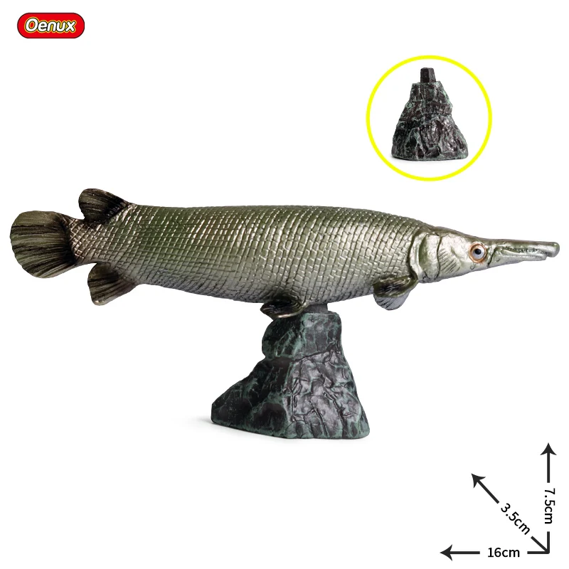 Oenux Ocean Fish Animals Model Simulation SeaLife Coelacanth