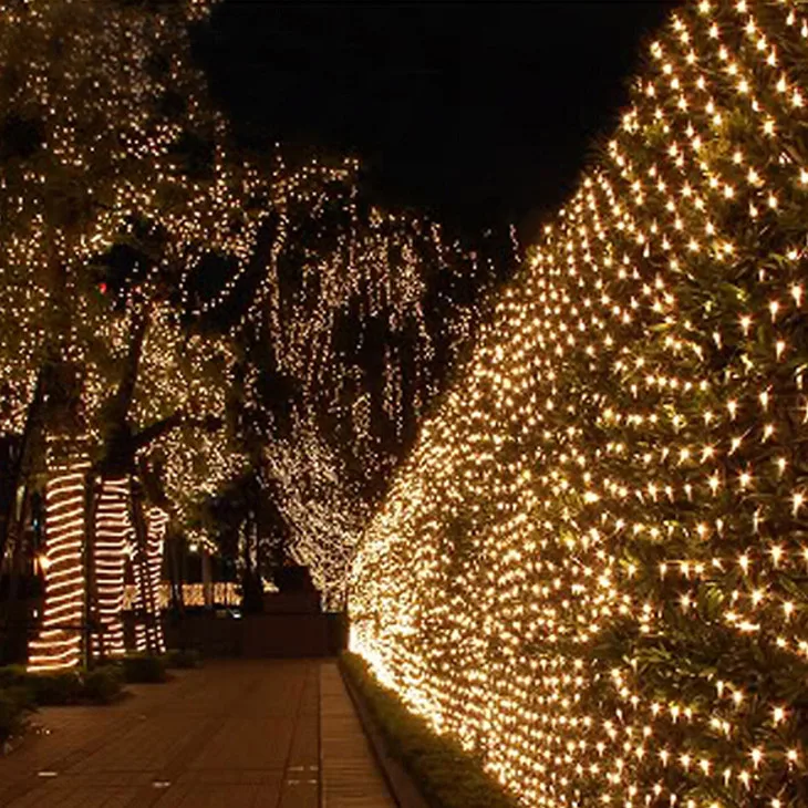 2018 hot sell holiday led String Light Holiday Wedding Christmas Party Decor led light factory price 2018 hot sell holiday led String Light Holiday Wedding Christmas Party Decor led light factory price