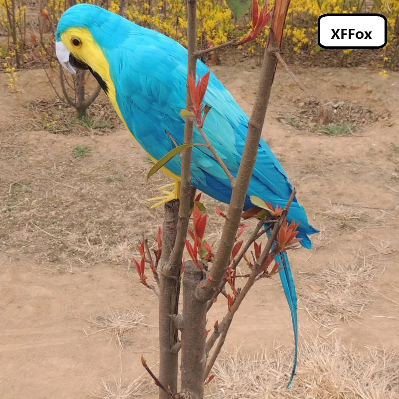 

big real life parrot model foam&feather simulation blue&yellow parrot bird doll gift about 60cm xf1018