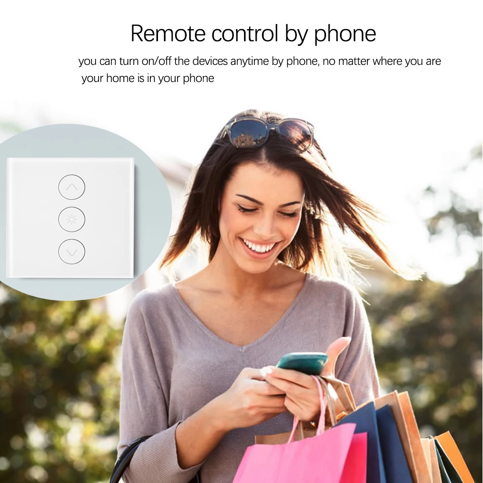 Remote controll wifi switch dual switch