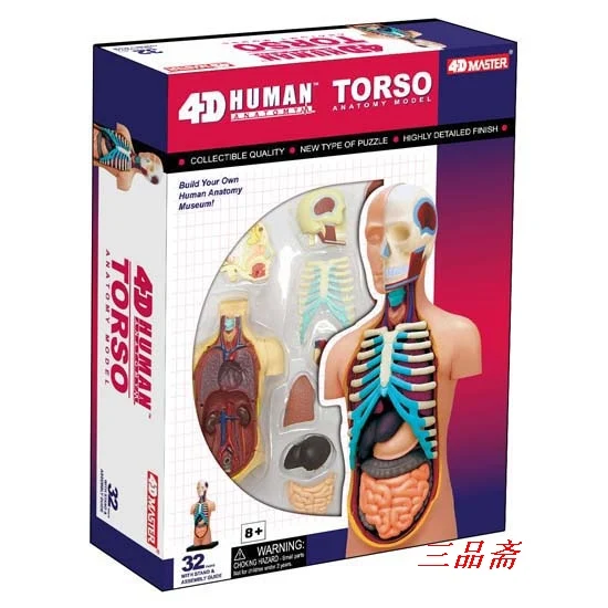Детская игрушка для scienceToy модель человеческого тела сборка torso висцеральная