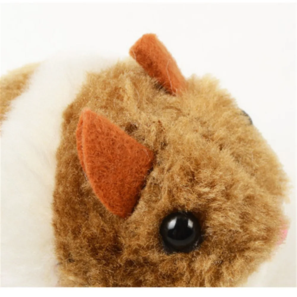 9416914571_1748246725