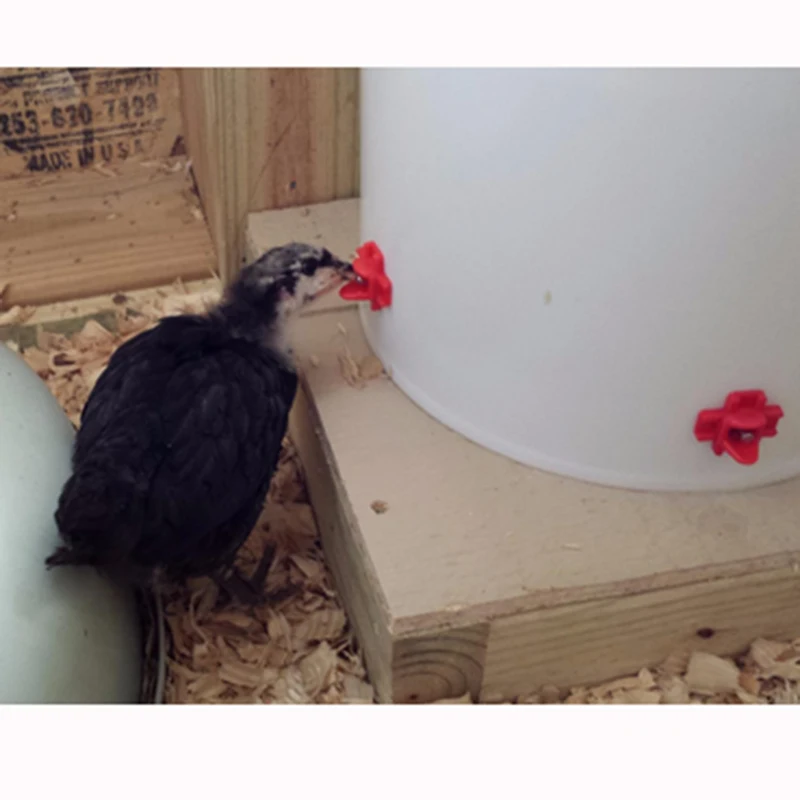 

FREE-SHIP-20-Chicken-Drinker-Nipple-Horizontal-Side-Mount-Screw-Drinking-Water