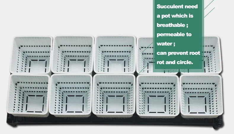 Meshpot горшок для суккулента цветочный горшок плантатор держатель корень контроль бассейна домашний декор, без корня гнить садовый горшок(10 шт. горшок+ 1 шт. лоток