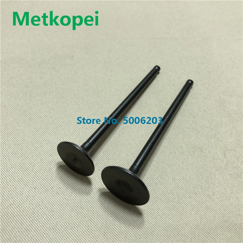 EN125 engine valve with guide (7)