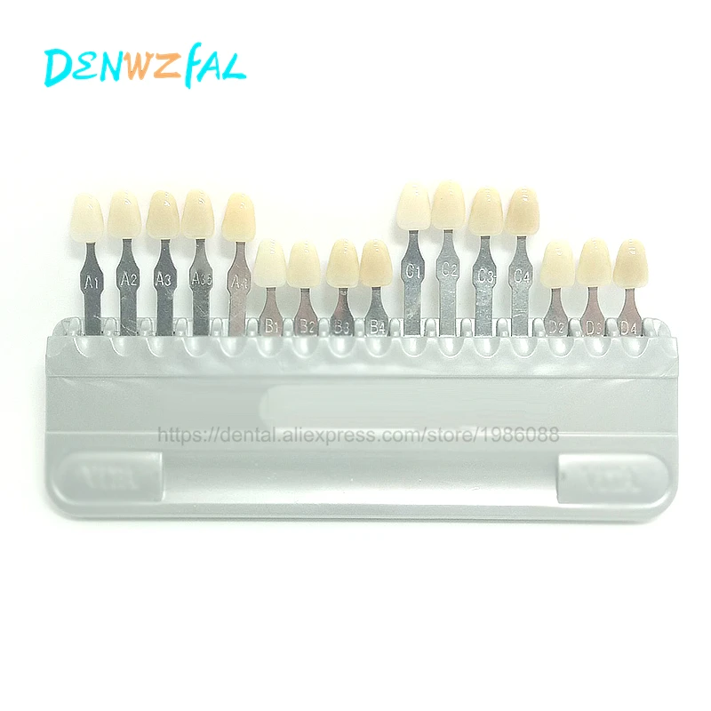 Buy Dental material is not vita tooth color model from