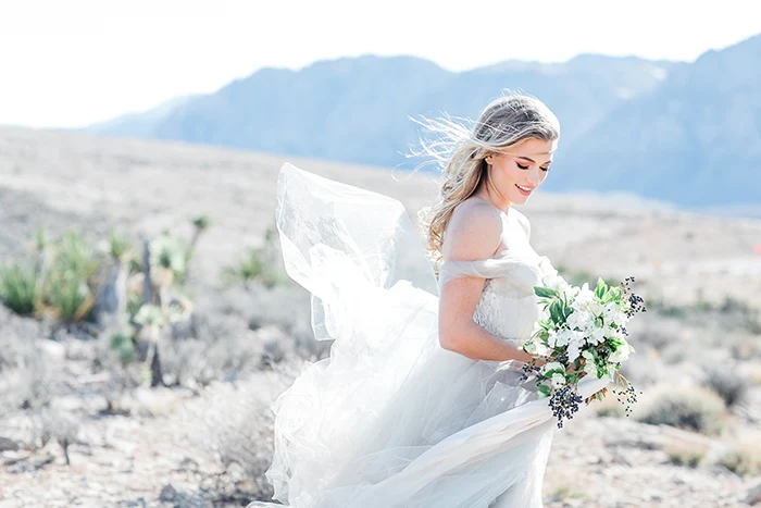 11-vintage-bridal-glam-red-rocks-canyon(pp_w480_h320)