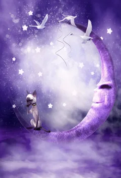 

VinylBDS Photo Studio Backdrop Purple Background Moon Swan Background Fantasy Scenic Backdrops Yy00551