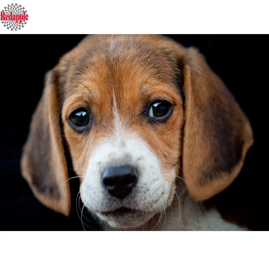 Diy diamond embroidery Beagle diamond painting dog face Cross Stitch